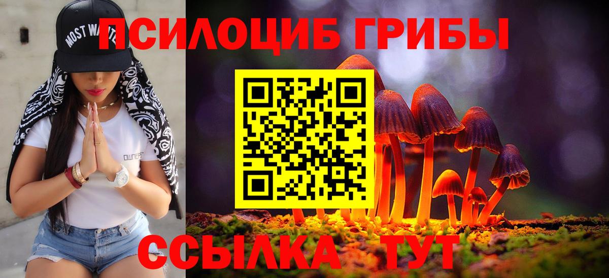 Свободный  что такое наркотик  Псилоцибиновые грибы GOLDEN TEACHER  Вход с VPN  Псилоцибиновые грибы Psilocybine cubensis 